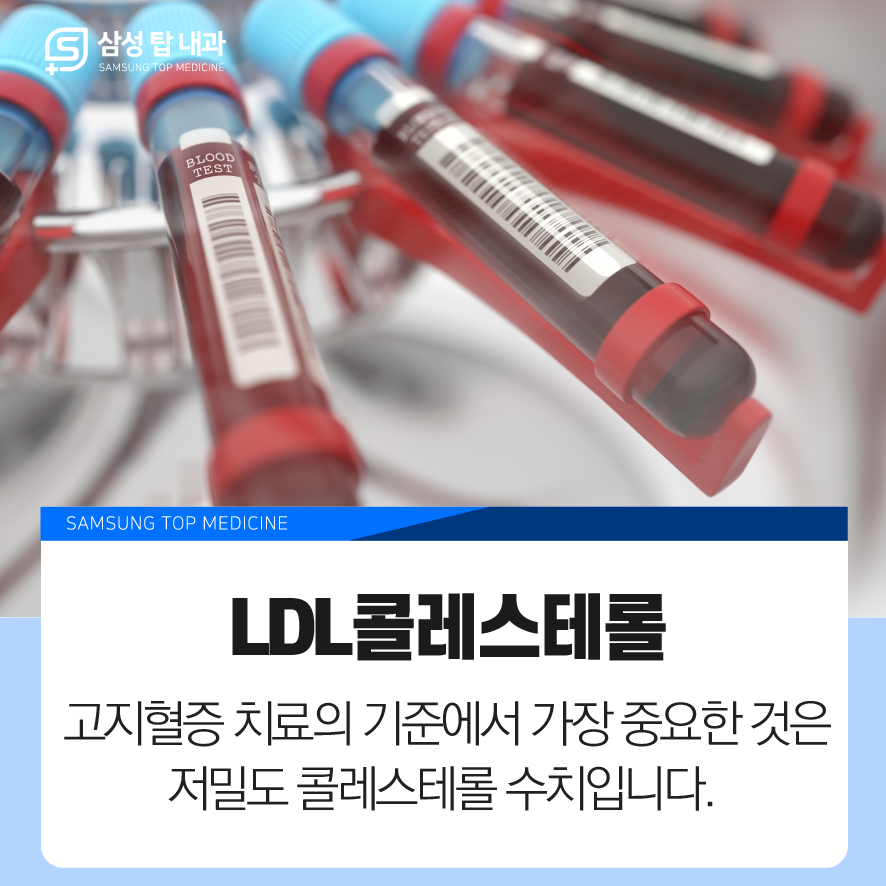 고지혈증 검사 성남 고지혈증 6