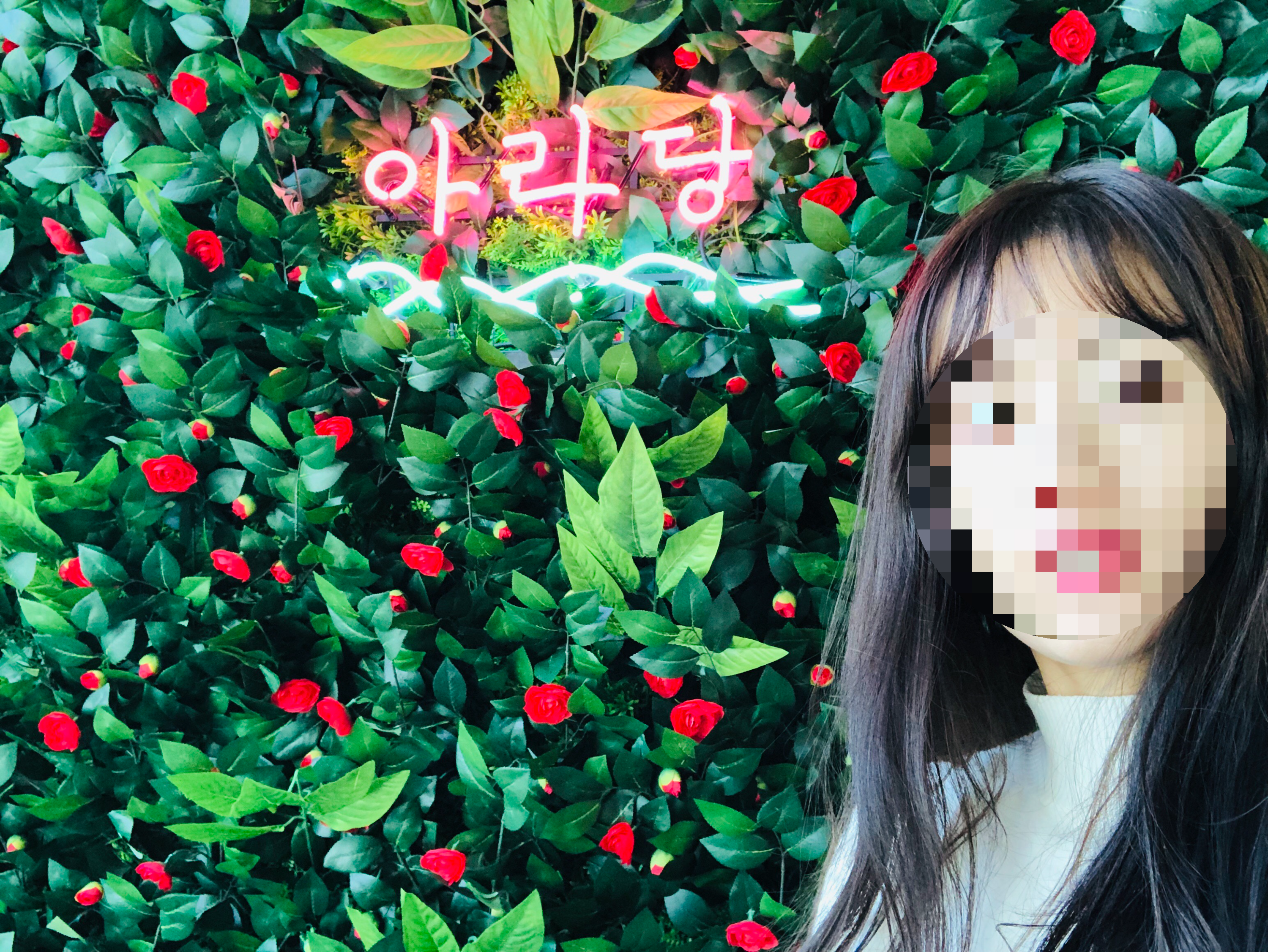 아라당