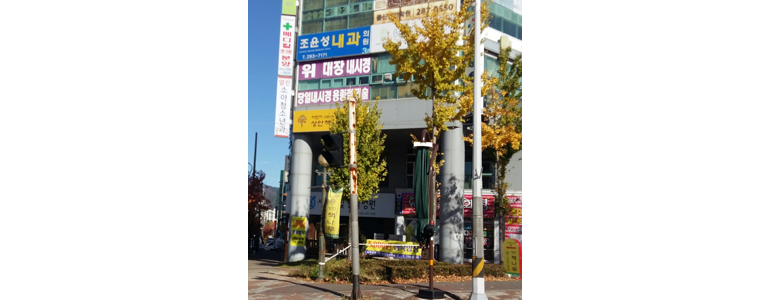 울산 북구 고지혈증