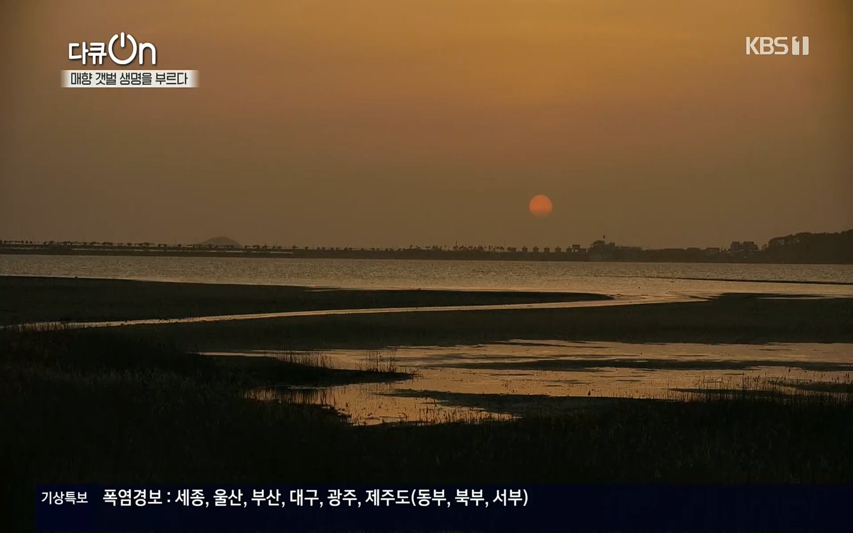 다큐 On.E151.220805p.H264-F1RST.mp4_20220806_193405.671.jpg