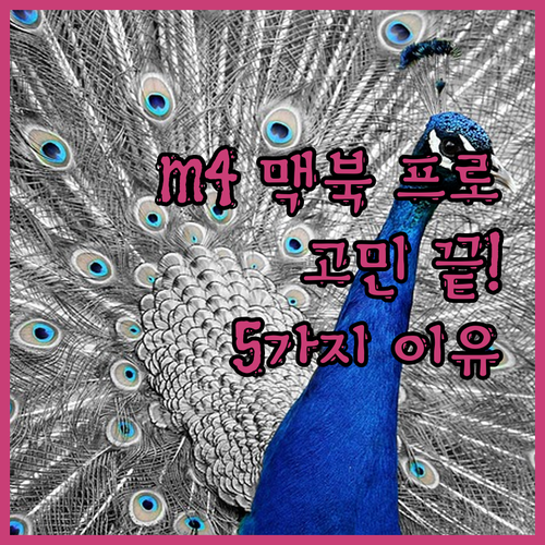 2024 맥북 프로 14 M4: 고민