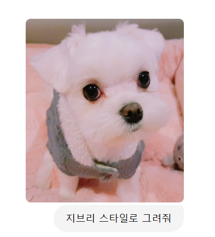 카톡프사애니