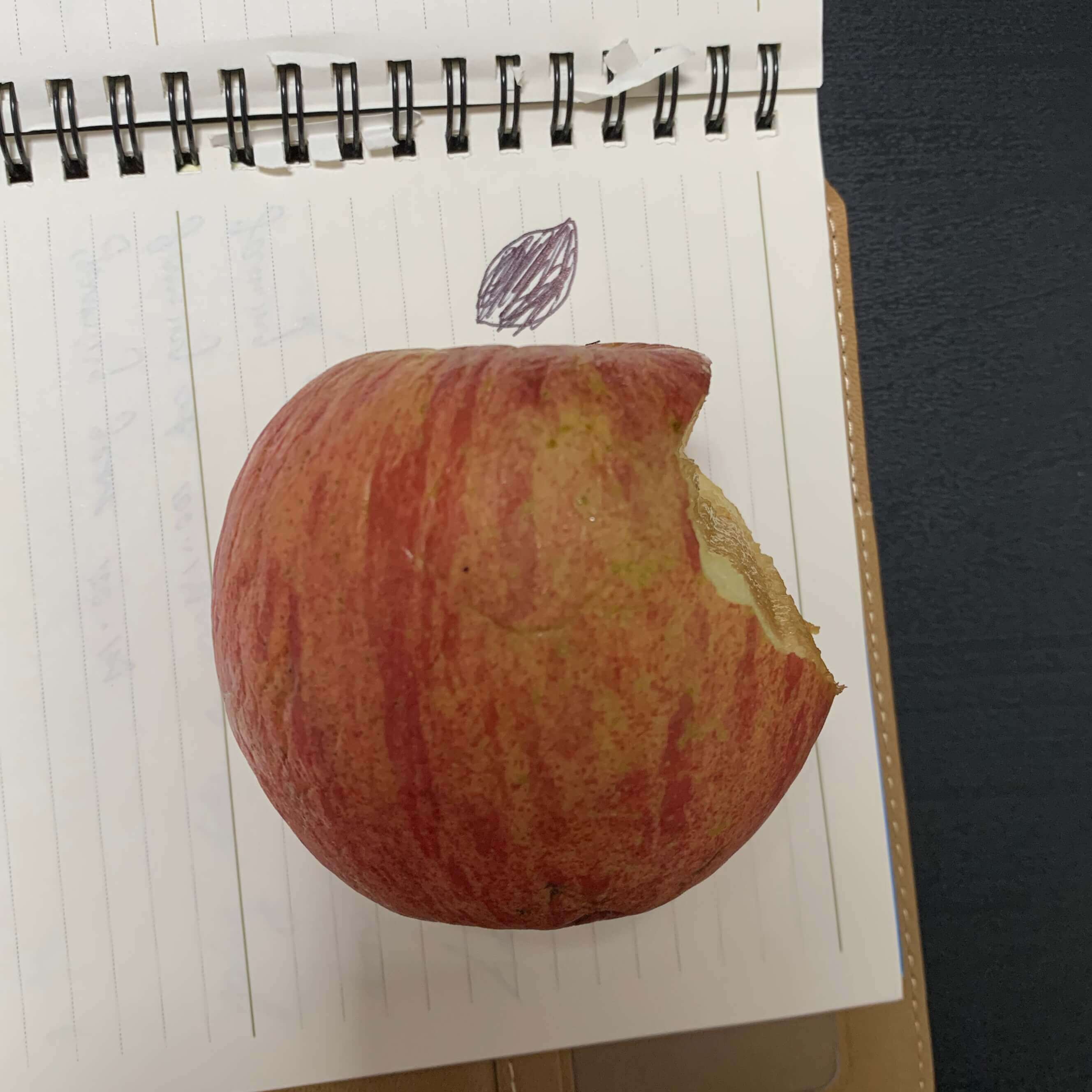 Apple-hyperrealism-logo-hand-writing