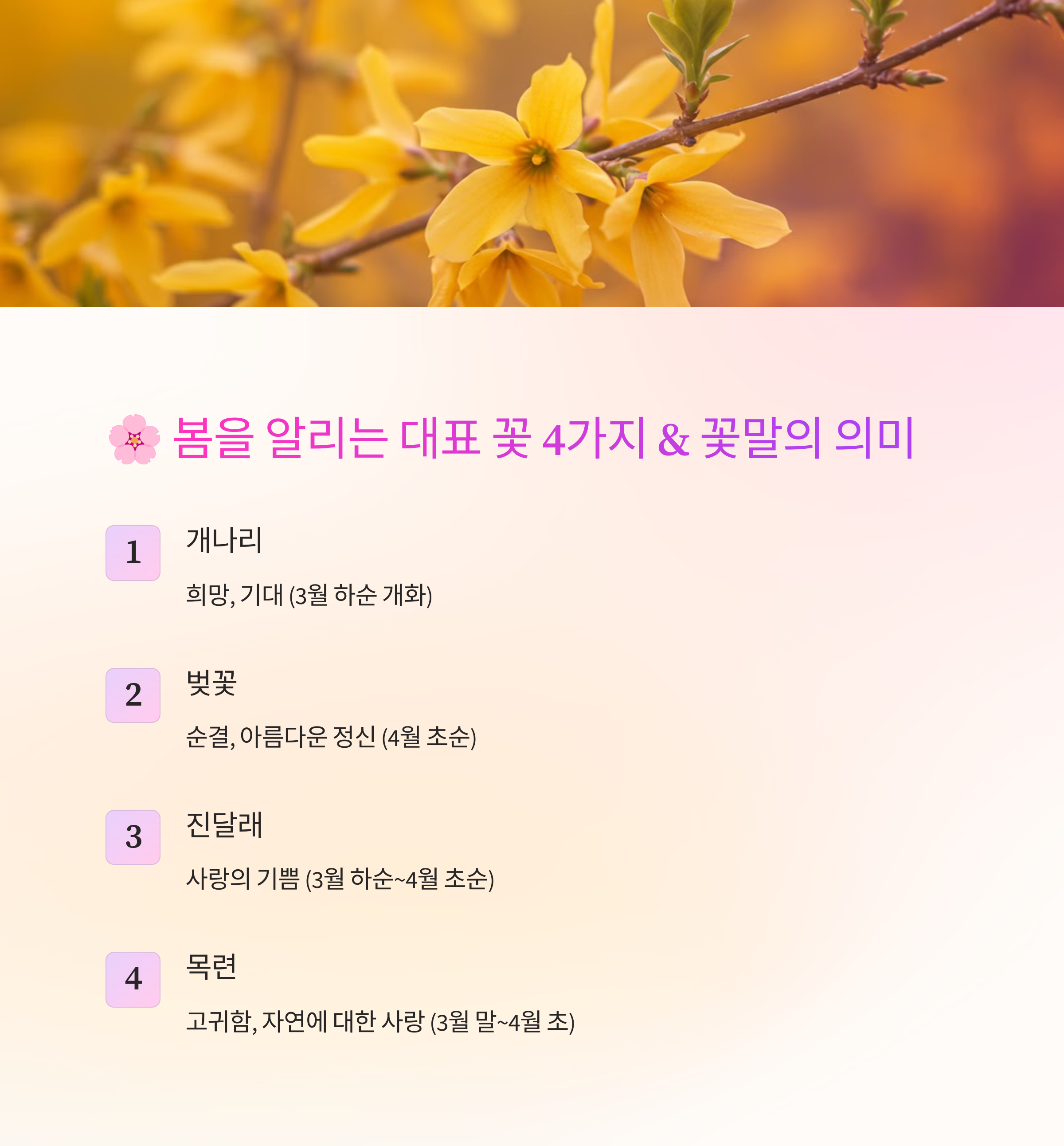 봄에 피는 대표적인 꽃