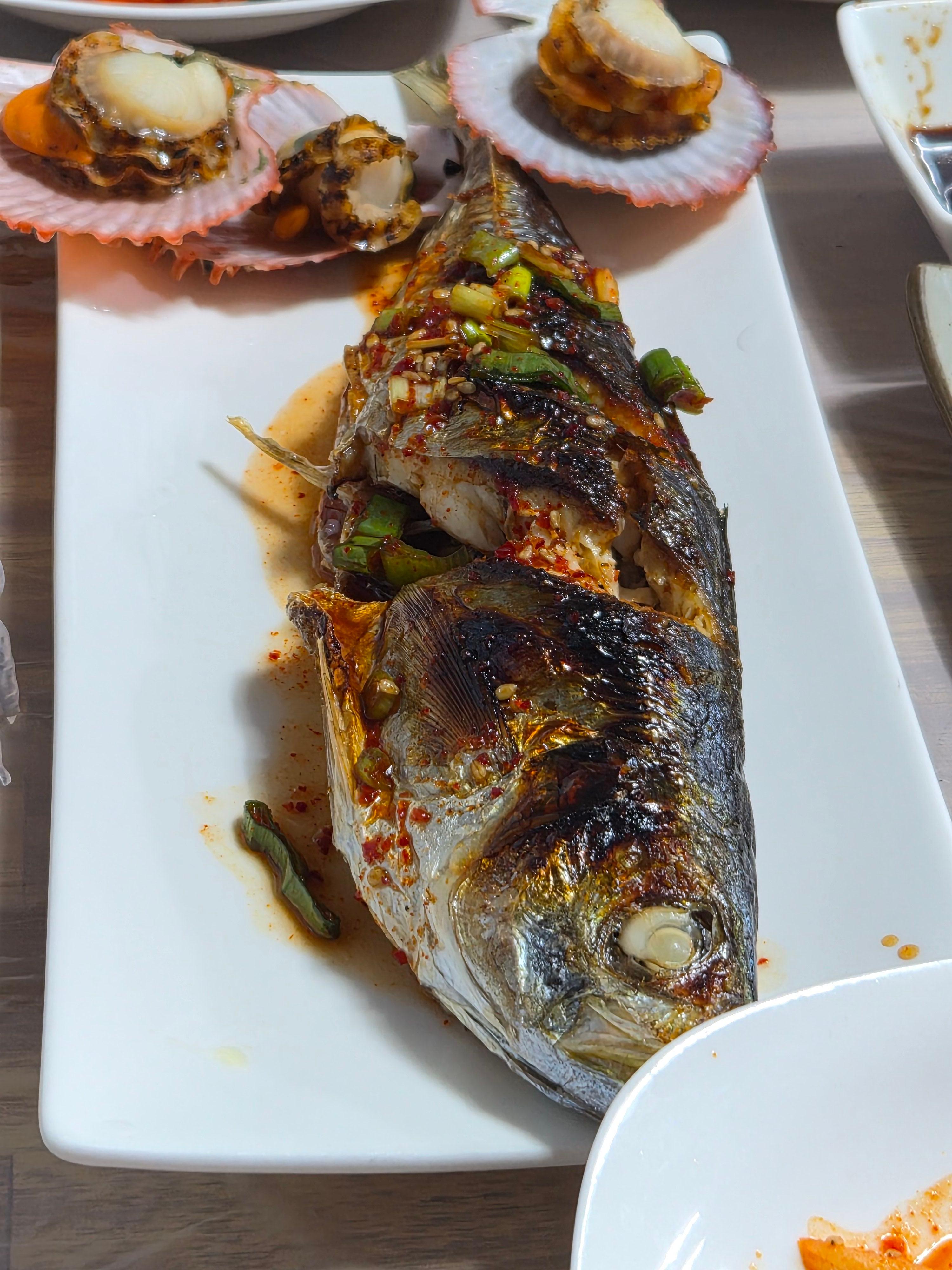 바다다찌 사진 8