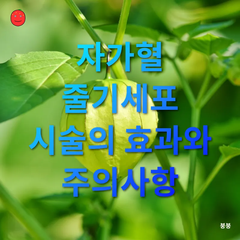 자가혈 줄기세포 시술_3