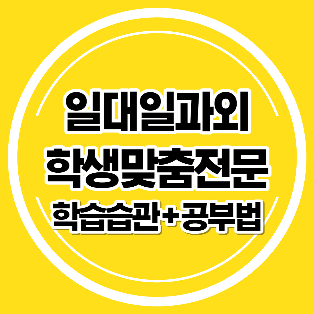  전남 강진 중학생 수학과외 초등 영어 일대일 고등학생 국어과외 선생님 개인 새학기대비
