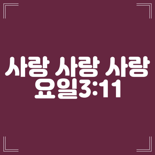  사랑 사랑 사랑 (요일3:11)