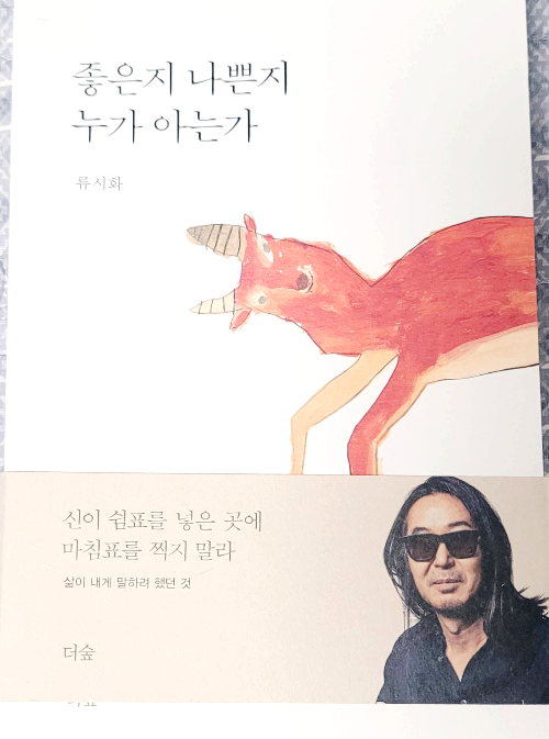  류시화 시인의 [좋은지 나쁜지 누가 아는가] 지친 마음의 울림이 필요할 때 읽어보는 책