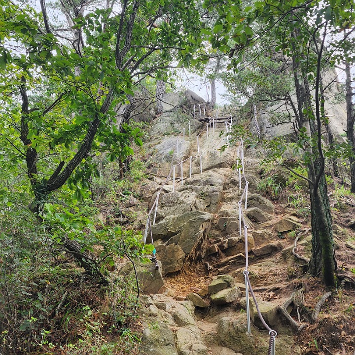오봉산언덕길