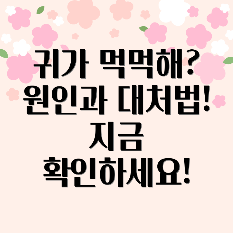 귀가 먹먹해요