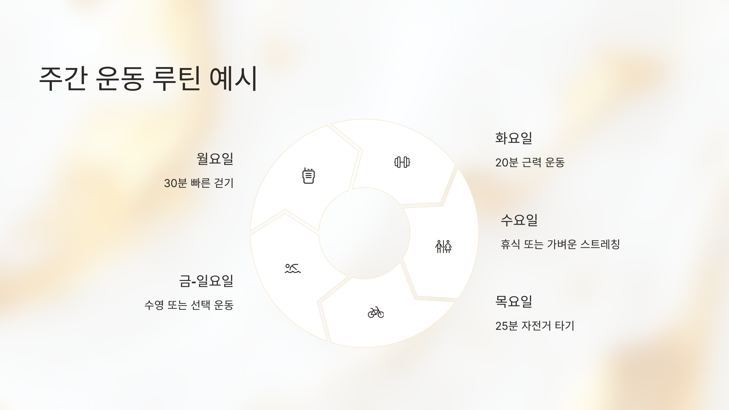 📅 주간 운동 루틴 예시