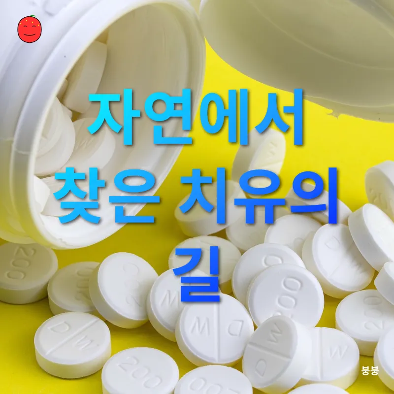 천연 화장품 만들기_2