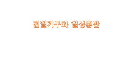  전열기구와 피부 열성홍반