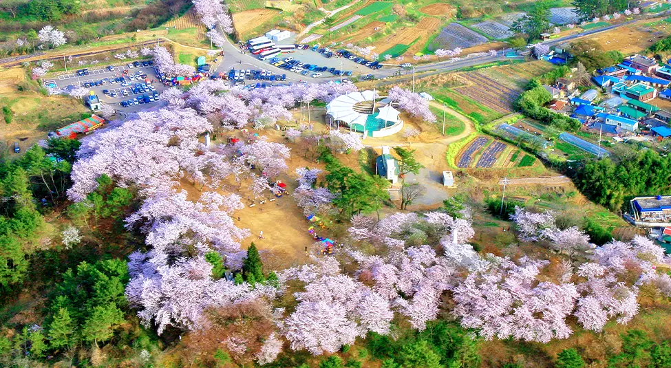 미스터리의 사진 한 컷 대한민국 경남 사천 여행 가볼만한 곳 드라이브코스 디저트 카페 추천