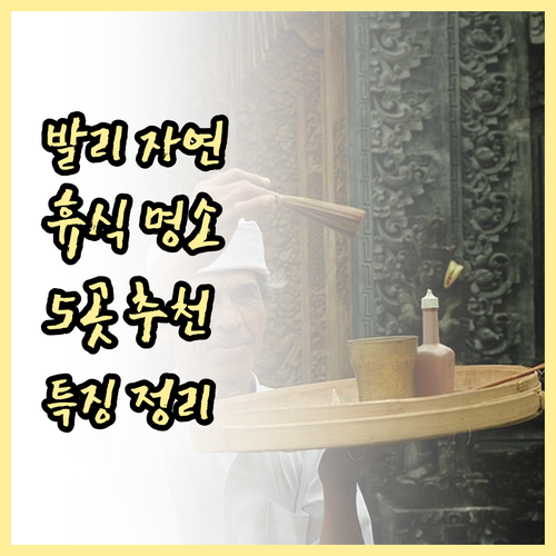 발리 자연 속 휴식 5곳 특징 정리