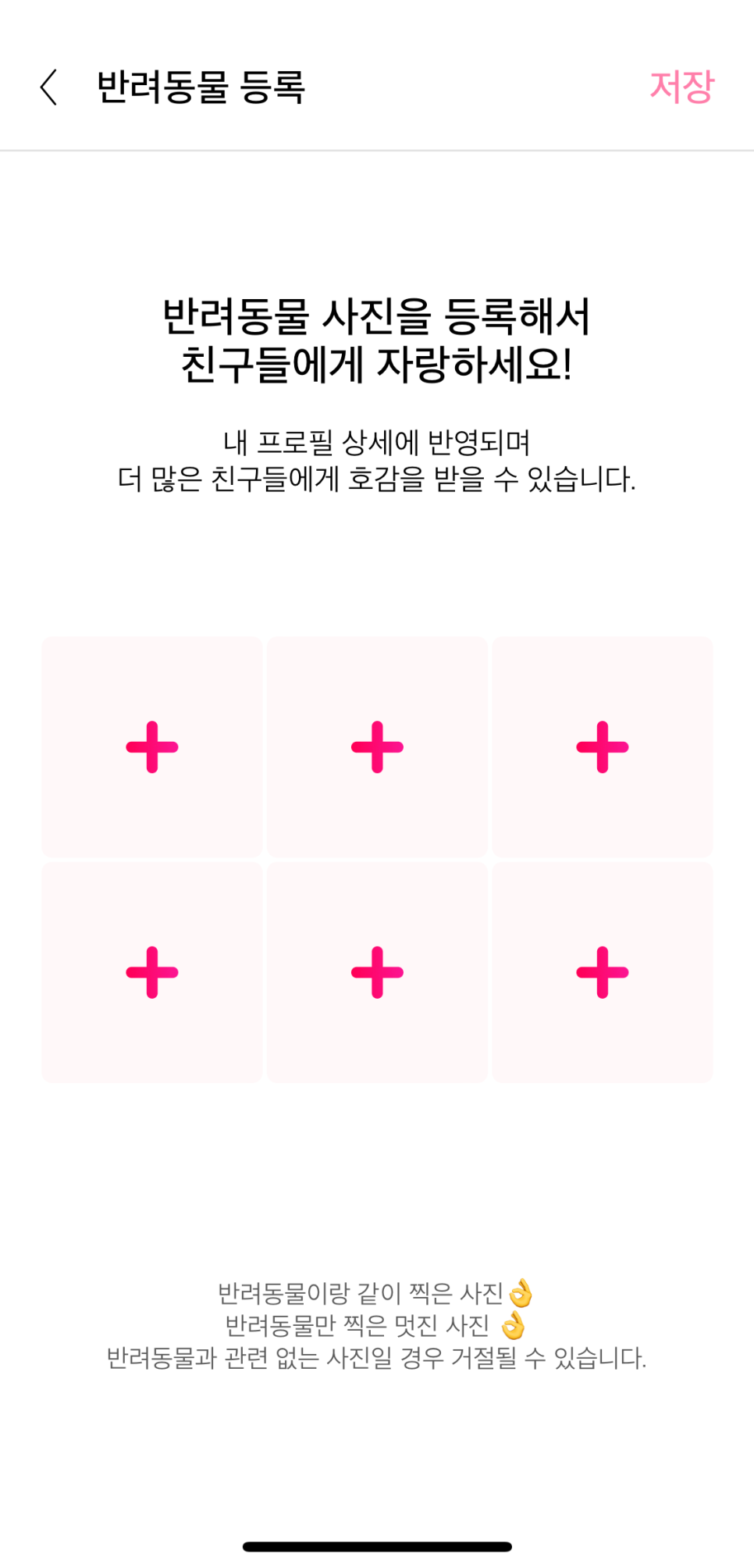 위피 후기