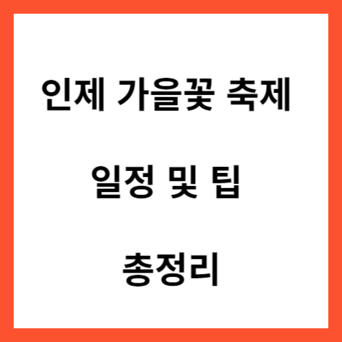 인제 가을꽃 축제 일정&#44; 팁 총정리