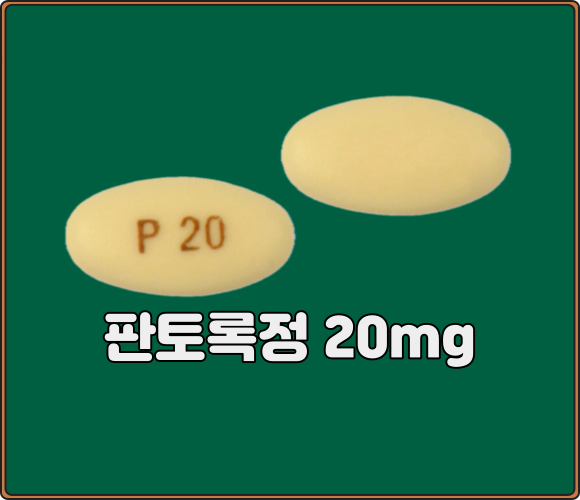 판토록정_20mg