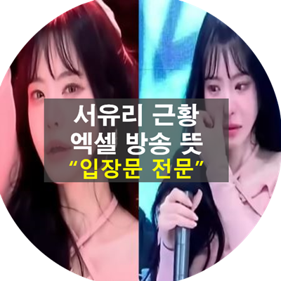 서유리-엑셀-방송-뜻-나이-근황-이혼-사유