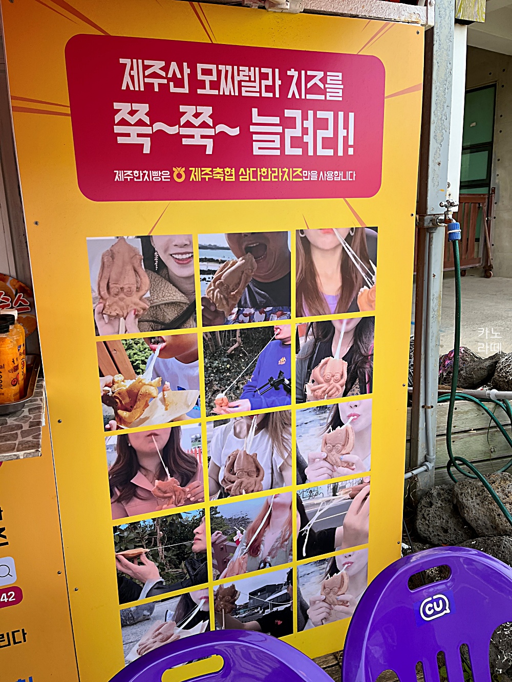 제주한치빵 이미지