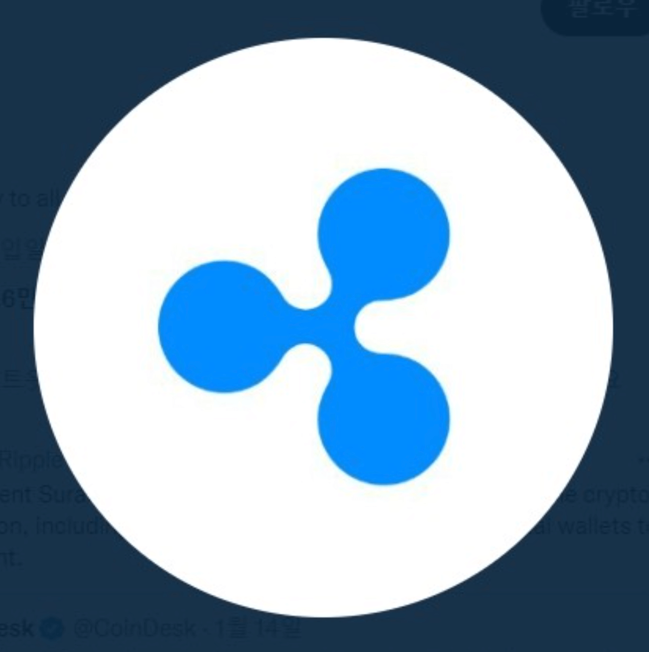  리플(XRP) 코인 가격 전망