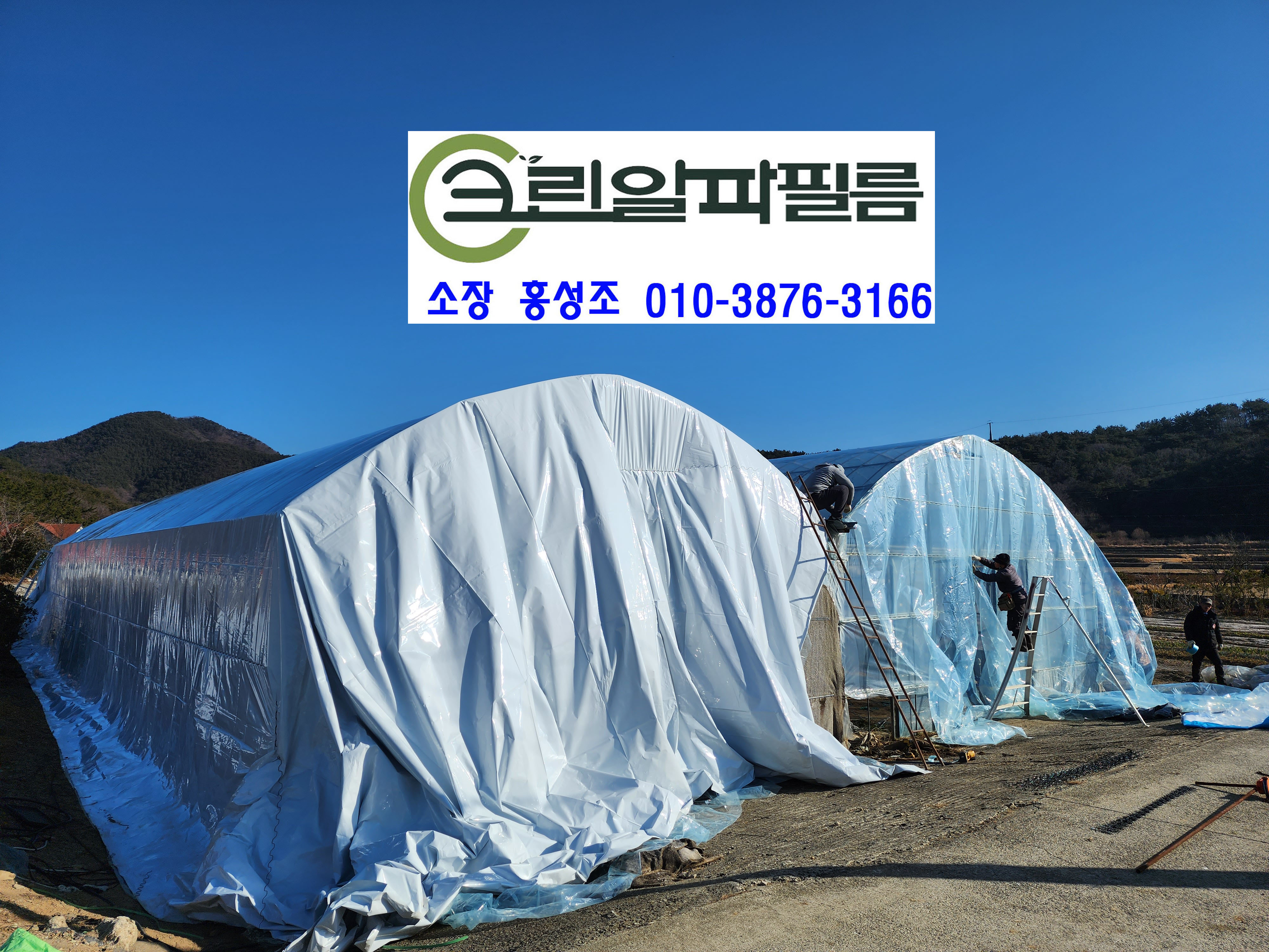 크린알파필름 이미지