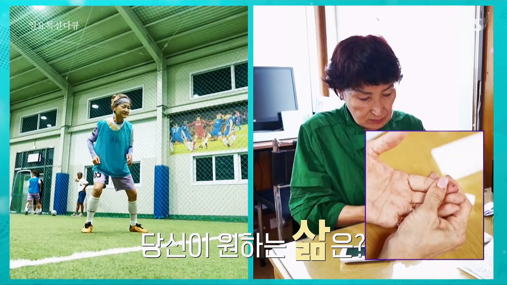일요 특선 다큐멘터리.E319.230910p.H264-F1RST.mp4_20230918_200827.067.jpg