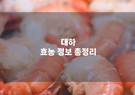 대하 효능 정보 정리, 새우
