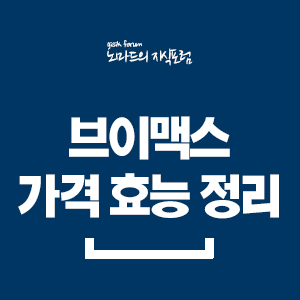  브이맥스 가격 효능