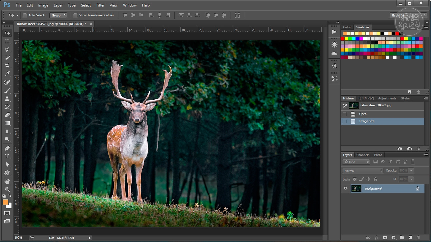 포토샵 형광 사슴 뿔 효과