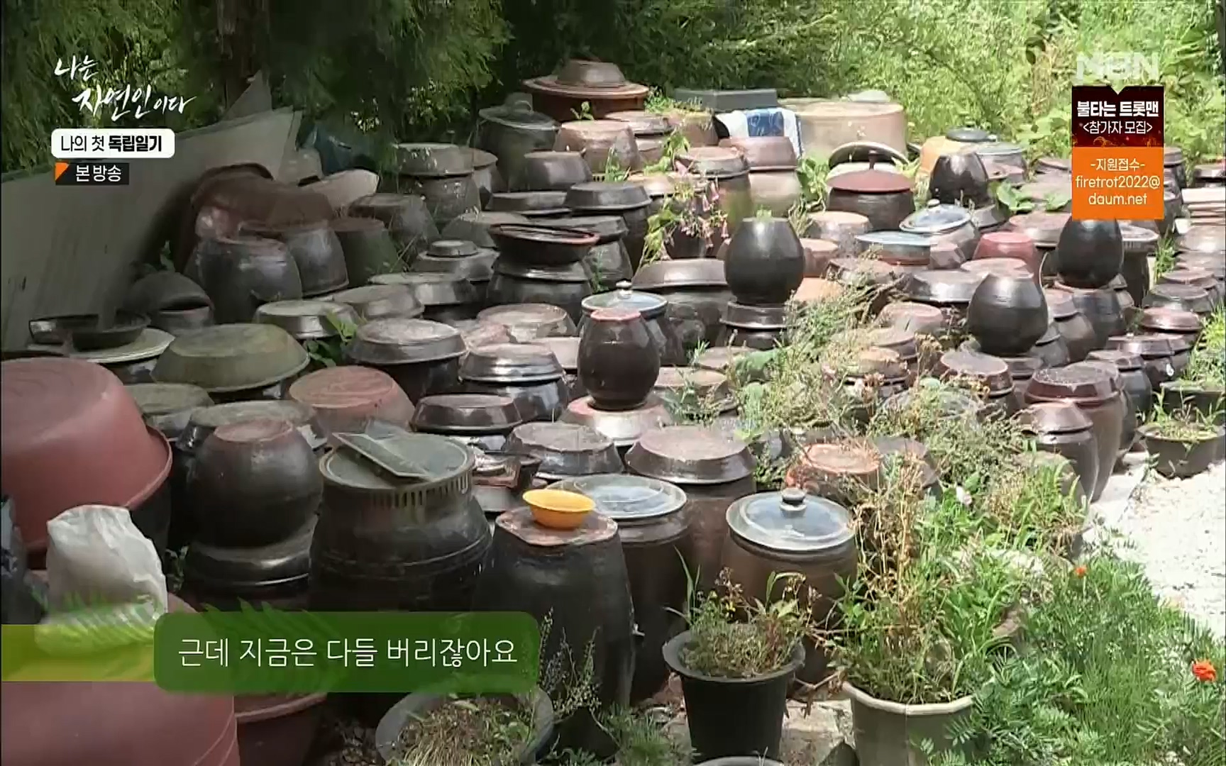 나는 자연인이다.E511.220720p.H264-F1RST.mp4_20220721_201101.463.jpg