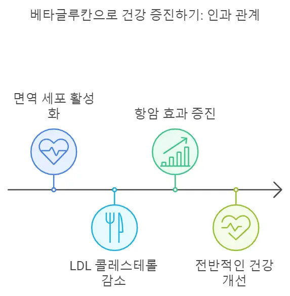 베타글루칸 효능