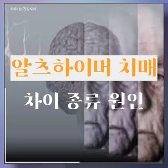 알츠하이머와 치매 차이_3