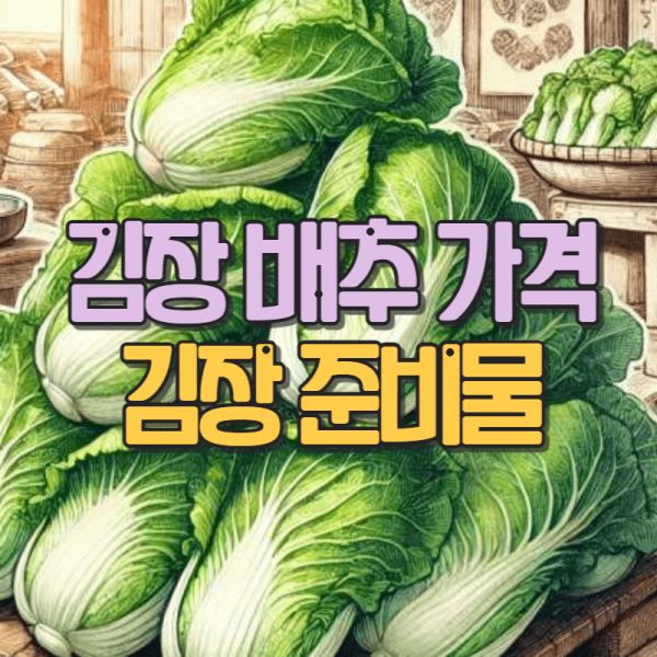 김장 배추 가격 비료 김장 준비물