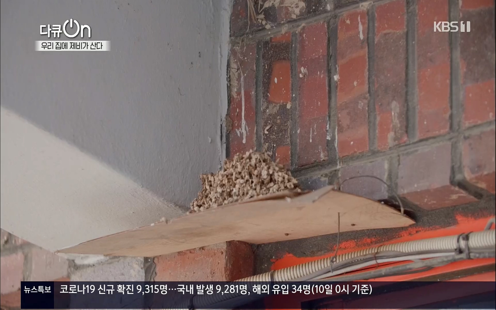 다큐 On.E143.220610p.H264-F1RST.mp4_20220613_202640.447.jpg