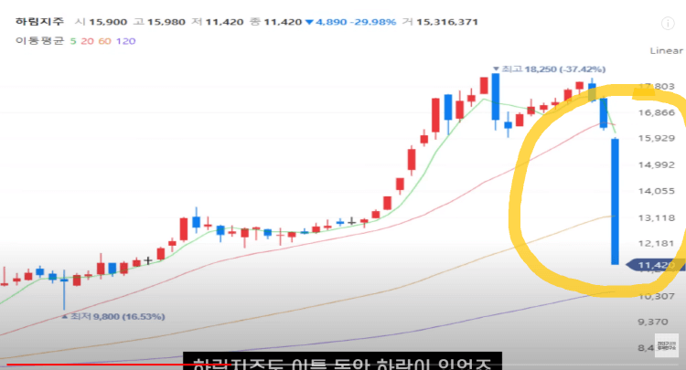 작전세력에 의한 하림지주 주가하락