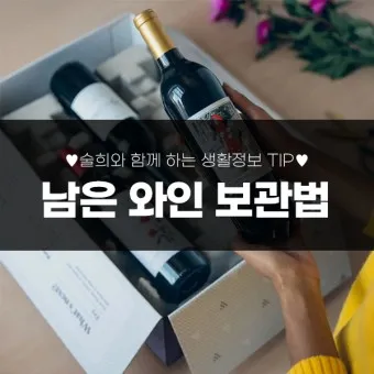 와인보관법 남은와인보관_10