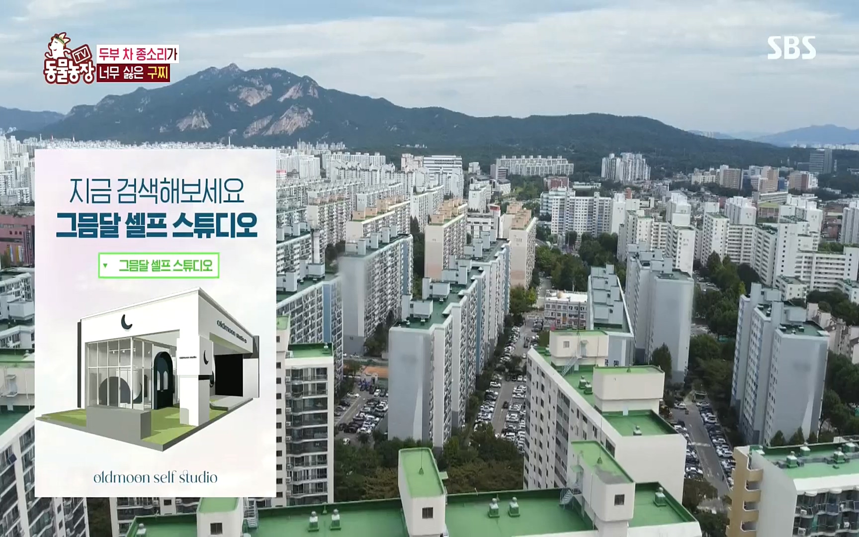 TV 동물농장.E1089.221002p.H264-F1RST.mp4_20221002_181943.144.jpg