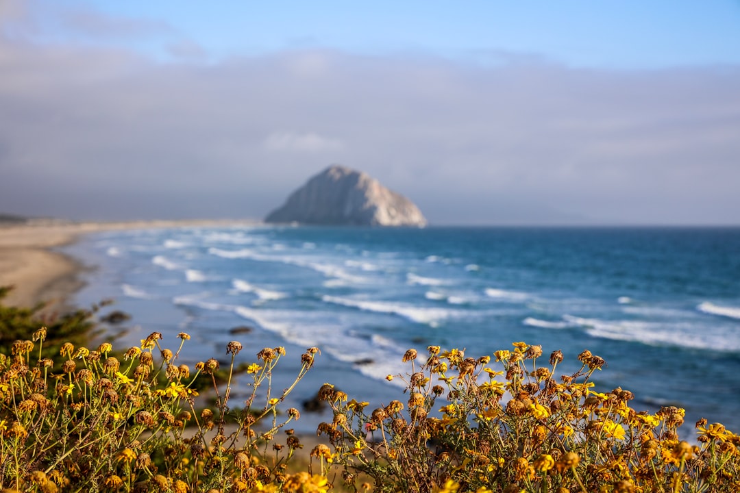 Pacific
