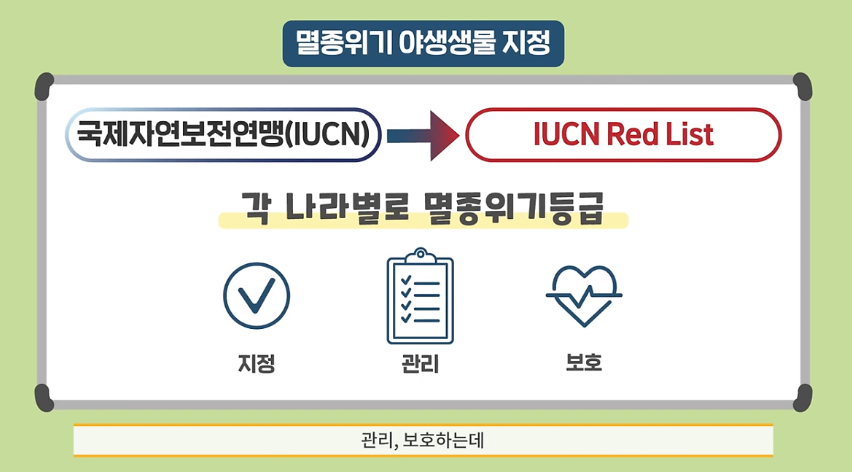 멸종위기 지정방법