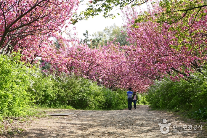 전주 여행