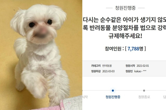  학대로 코와 입이 잘린 강아지 순수, 도와주세요