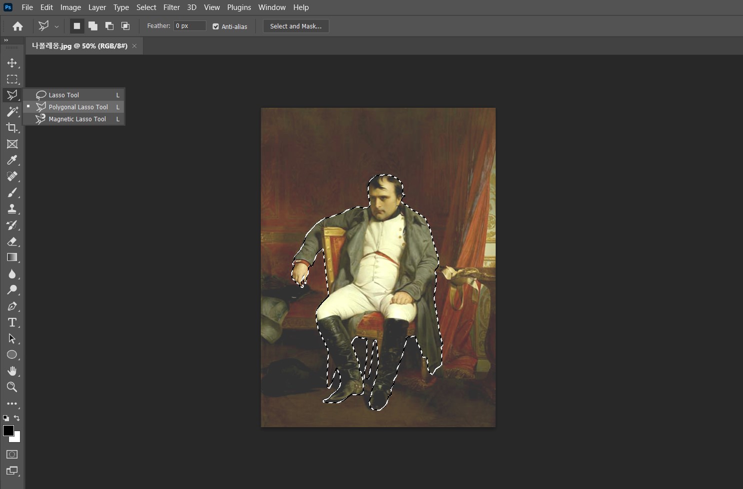 포토샵 Polygonal Lasso Tool 적용 후 이미지