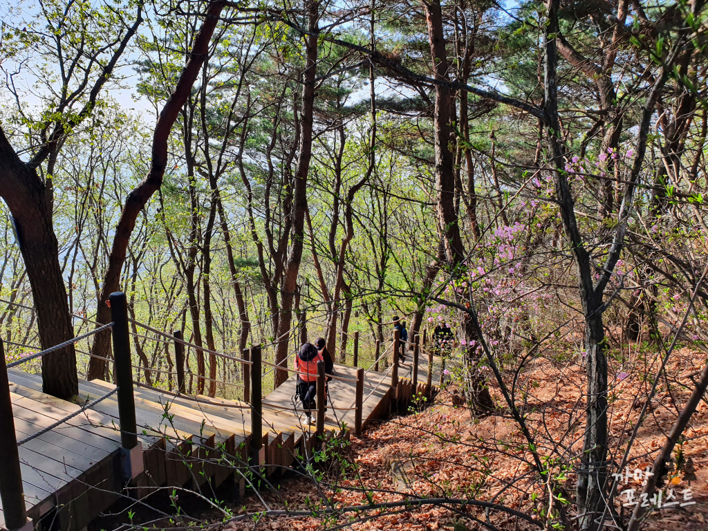 광교산 정상 부근