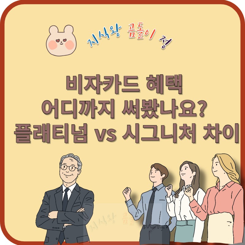 비자카드 혜택