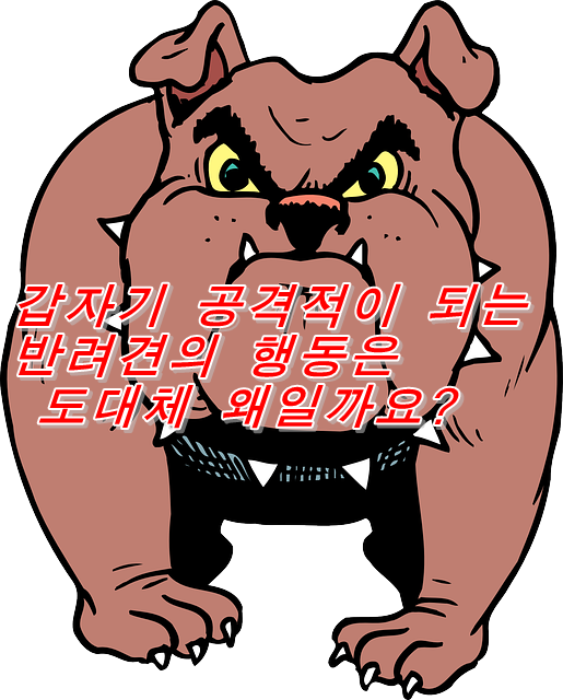  갑자기 공격적이 되는 반려견의 행동은 도대체 왜일까요?