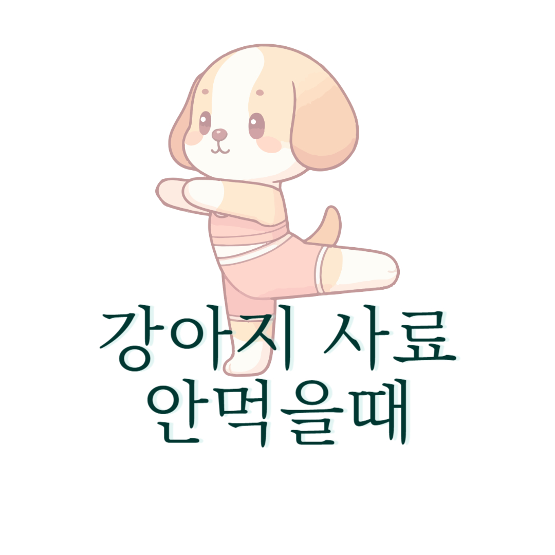 강아지 사료 안먹을때