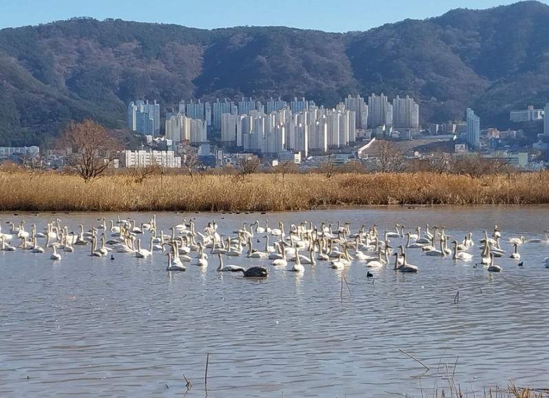 맥도생태공원1