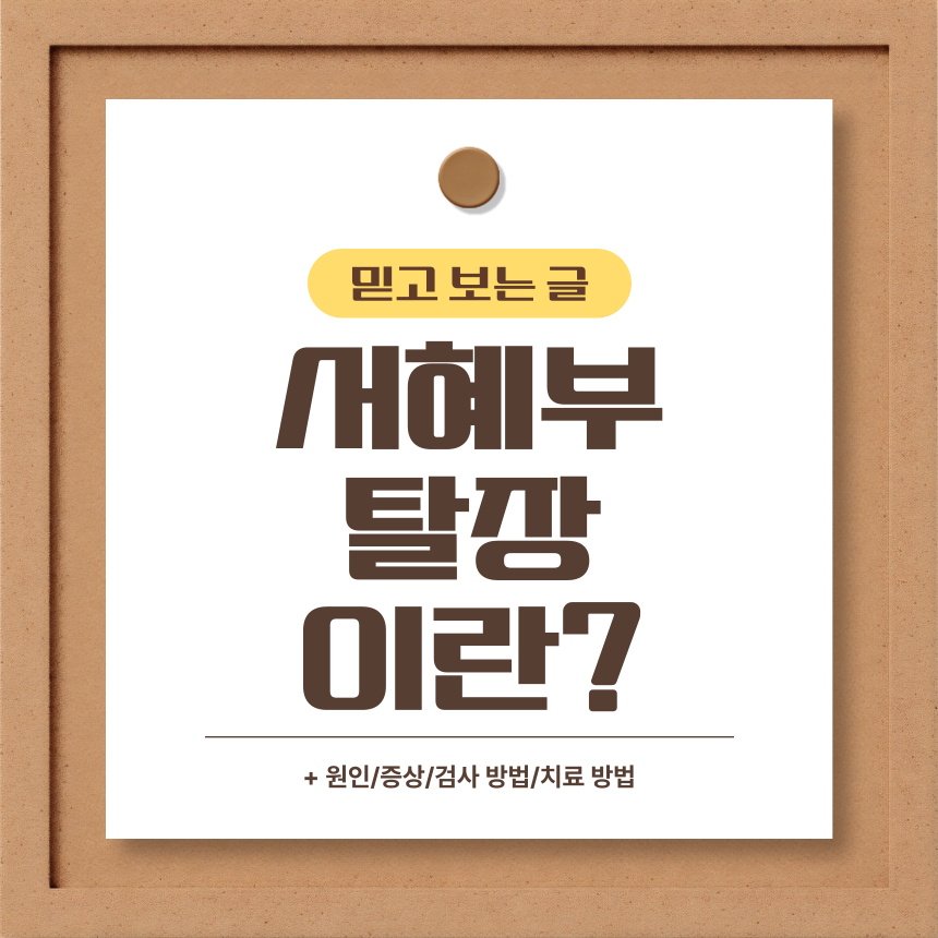  서혜부 탈장 이란?